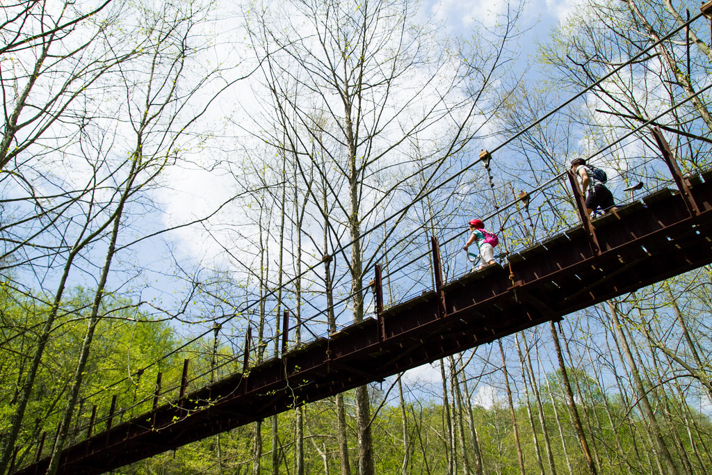 Patapsco State Park
