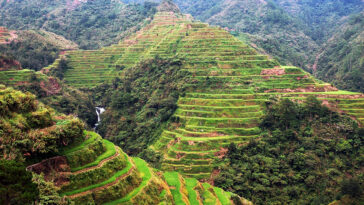 Rice Terraces in Banaue Ifugao