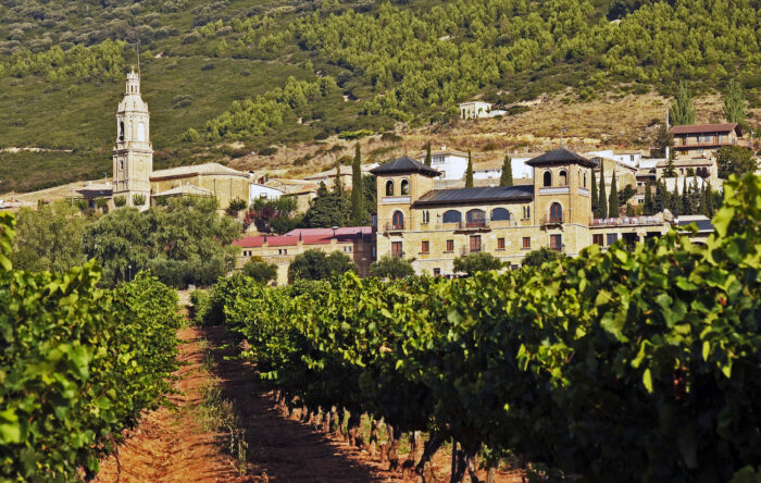 I tried tasting the dates plucked in a vineyard like this along the way but they were so sour!