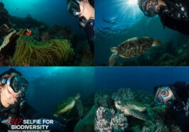 Danny Ocampo, 2016 Selfie for Biodiversity Runner Up