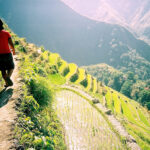 Rice Terraces in Banaue