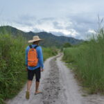 Heading on our way to the nursery of plants
