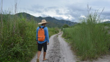 Heading on our way to the nursery of plants
