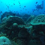 Ginaaman Reef