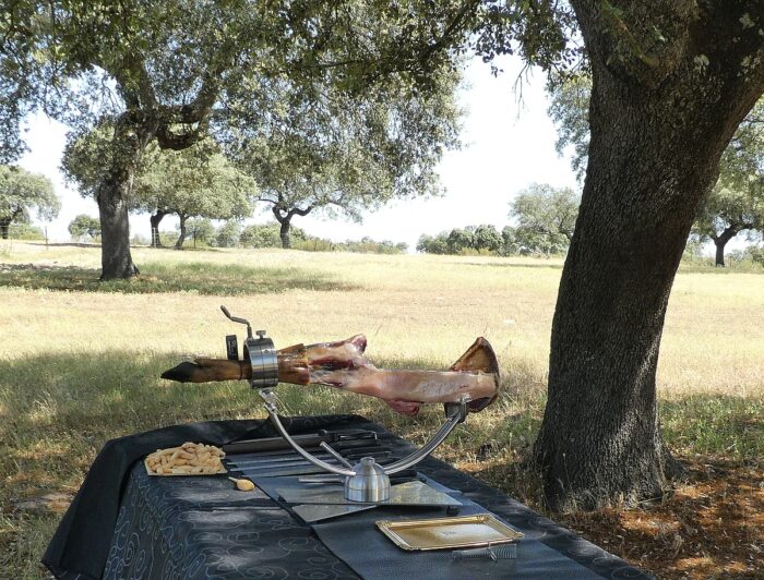 Jamon carving in the dehesa