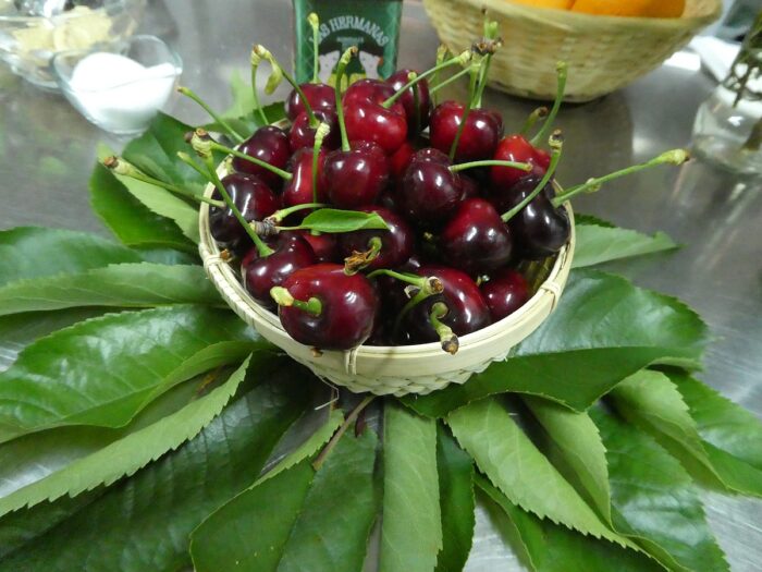 Life is a bowl of cherries in the Jerte Valley of Extremadura