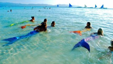 Mermaid Swimming taken from Philippine Mermaid Swimming Academy fb page