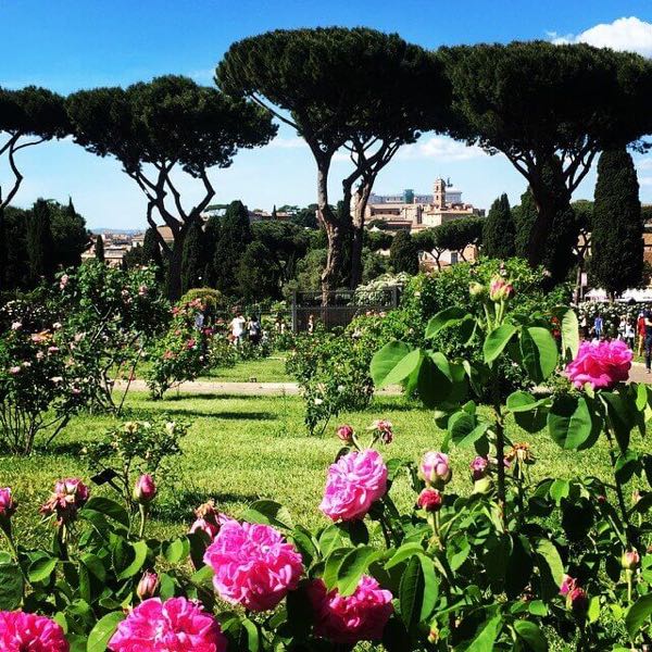 A view from inside of Roseto sullAventino
