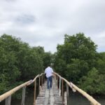 Mangrove Area in Sasmuan Pampanga