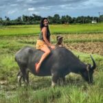 Grant seizes the moment to ride a carabao (water buffalo) in the rice fields of Motag Living Museum, beside Boracay, Philippines