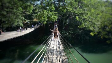 Loboc River Bamboo Bridge