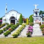 2. Marian Orchard