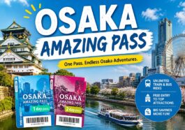 Osaka Amazing Pass