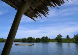 Palina Greenbelt Ecopark River Cruise