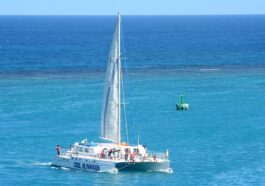Catamaran Tours Water Fun