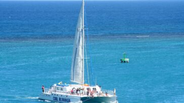Catamaran Tours Water Fun
