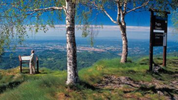 Oasi Zegna Panoramic View