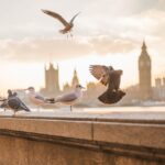 Emirates Flights to Europe Promo