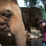 Elephant Jungle Sanctuary 3 - Chiang Mai LQ