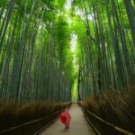 Arashiyama photo by Walter Mario Stein via Unsplash