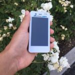 Japan portable WiFi rental