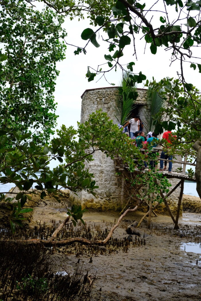 Loay Spanish Watchtower