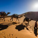 Sahara Desert by Sergey Pesterev via Unsplash