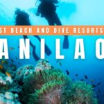 Best Beach and Dive Resorts in Anilao