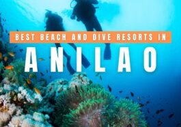 Best Beach and Dive Resorts in Anilao