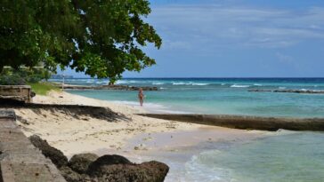 Best Things to do in Barbados