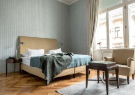 Hotel Altstadt Vienna Deluxe Double Room