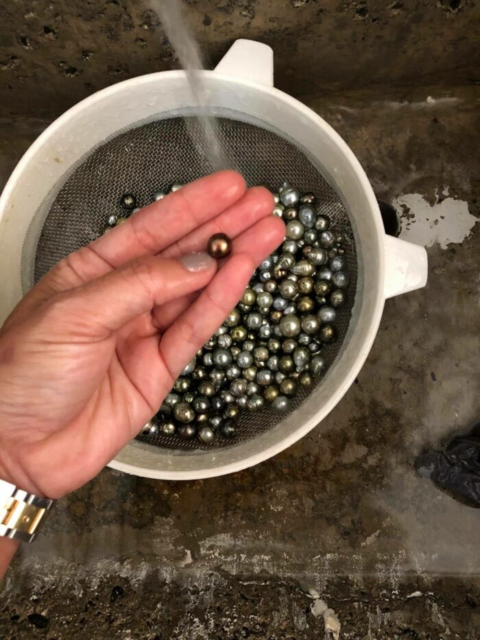 J Hunter Pearls shop Fiji photo via FB Page