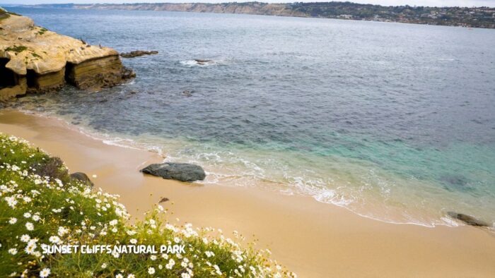 La Jolla Cove