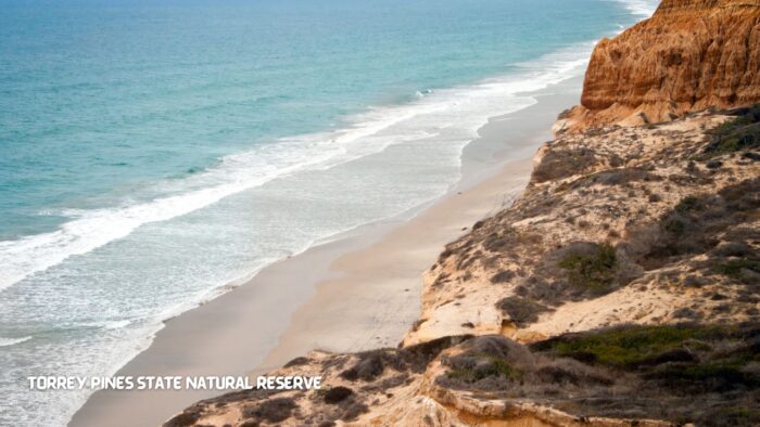 Torrey Pines State Natural Reserve