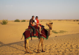Live to Travel in India