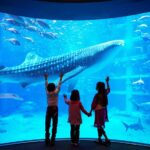 Blue Whale Shark inside Osaka Aquarium Kaiyukan in Japan photo via FB Page