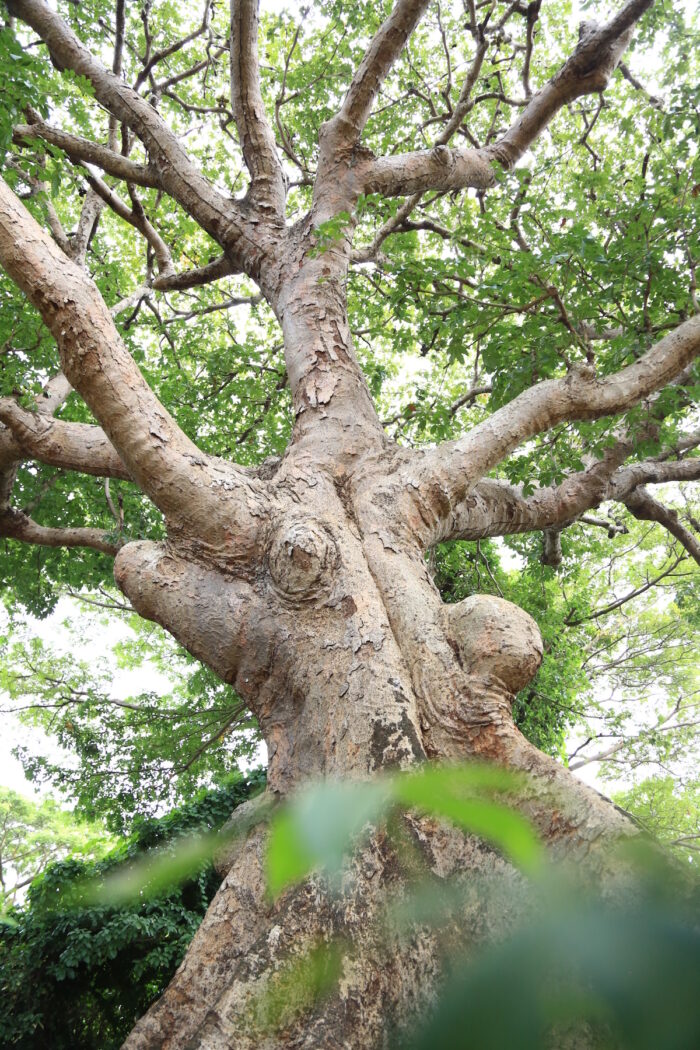 Discovering the Wonders of Occidental Mindoro - Out of Town Blog