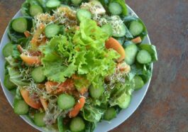 Fresh Salad at Costales Nature Farms