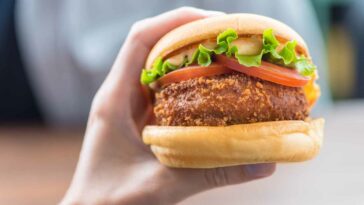 Shake Shack Shroom Burger