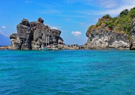 Apo Island in Negros Oriental