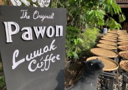 The Original Pawon Luwak Coffee
