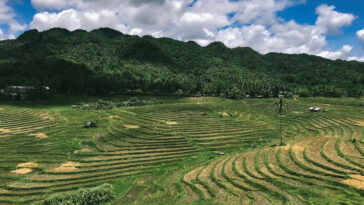 Cadapdapan Rice Terraces in Bohol