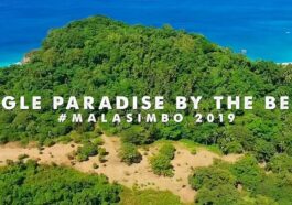 Malasimbo Music and Arts Festival 2019