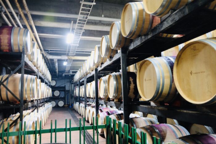 Ikeda Wine Castle Tour