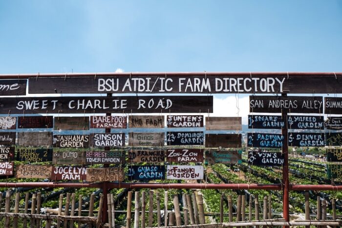 Strawberry Farm