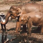 Sustainable Tourism In Chiang Mai by Kym Ellis via Unsplash
