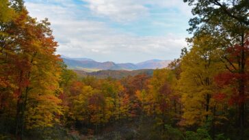 Smoky Mountain National Park in TN