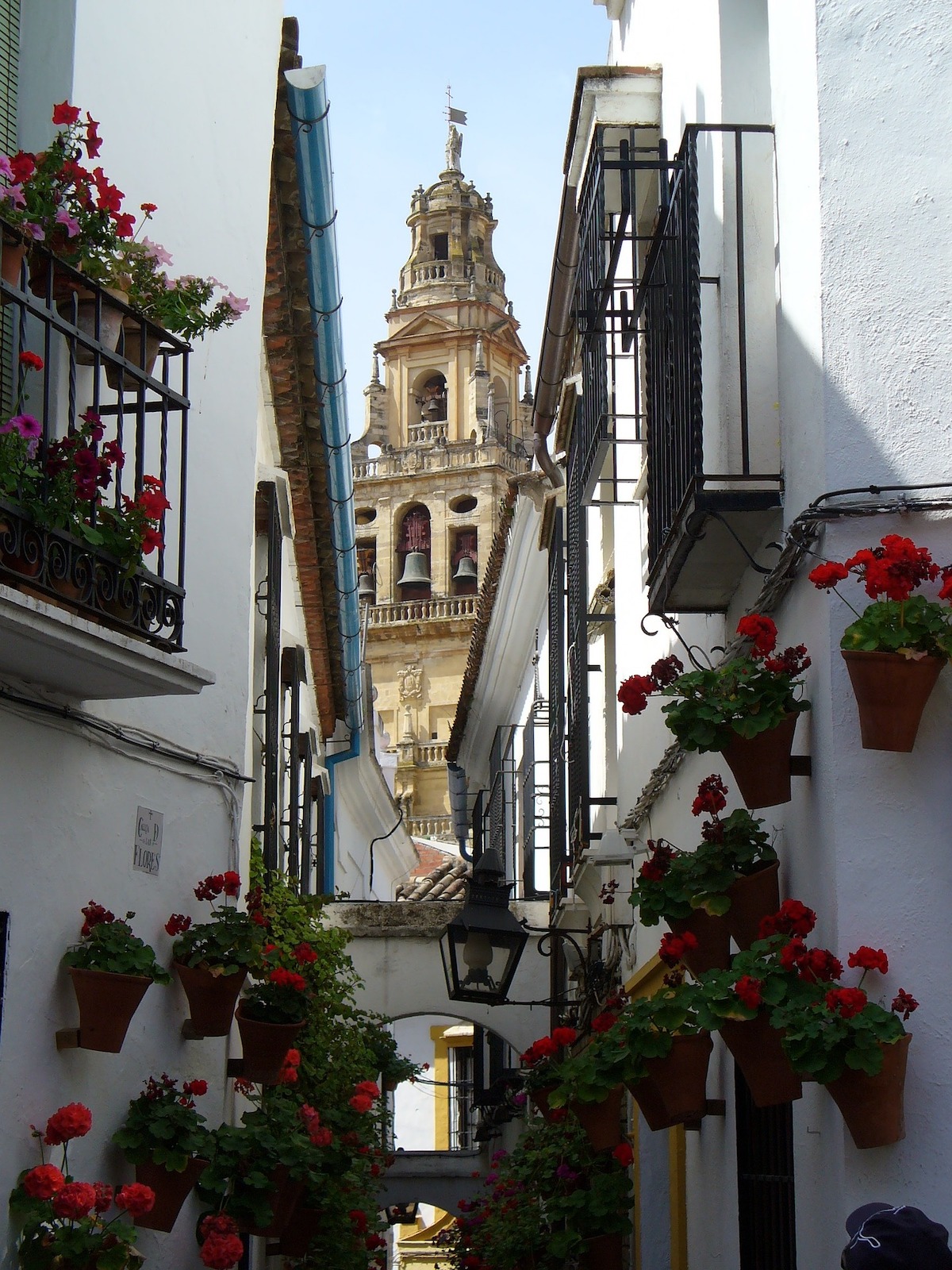 Calleja de las Flores