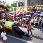 Kneeling Carabao Festival 2019