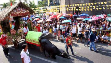 Kneeling Carabao Festival 2019
